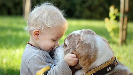 Köpekler ve Çocuklar Arasındaki İlişki: Güven, Empati ve Oyunun Önemi