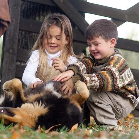 Pet İlgisi Artıyor: Evde Hayvan Beslemenin Popülerliği ve Trendleri