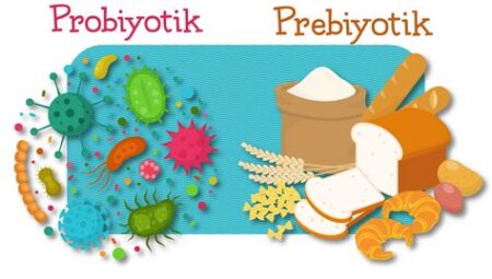 Probiyotik ve Prebiyotik İçeren Hayvan Mamalarının Yararları: Bağışıklık Sistemini Destekleme ve Sindirim Sağlığını İyileştirme